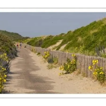 La Baigneuse Maison Avec Jardinet Et Parking Privé, à 200 M