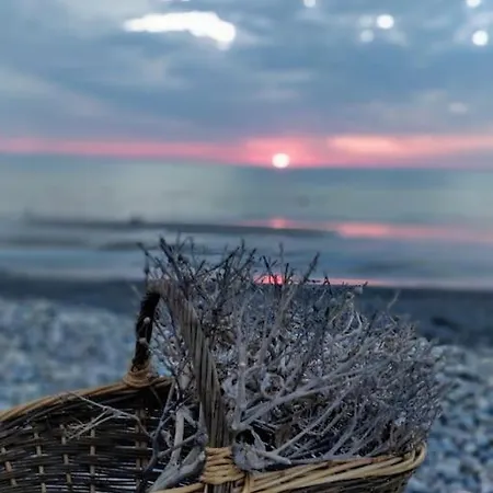 Casa de Férias La Baigneuse Maison Avec Jardinet Et Parking Privé, à 200 M Cayeux-sur-Mer
