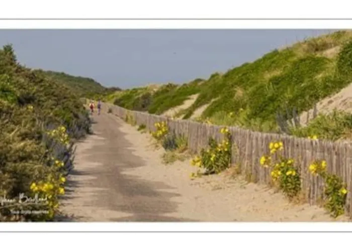 La Baigneuse Maison Avec Jardinet Et Parking Privé, à 200 M