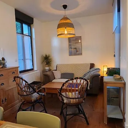 La Baigneuse Maison Avec Jardinet Et Parking Prive, A 200 M Feriehus