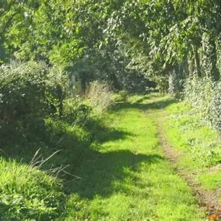 La Baigneuse Maison Avec Jardinet Et Parking Privé, à 200 M Cayeux-sur-Mer